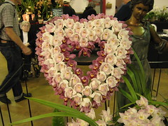 2008 Fascination of Orchids