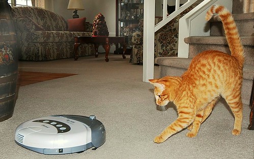 When Roomba's Attack ! ! !