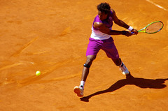 Roland Garros 2011 et sport