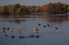 Belmont Lake Park