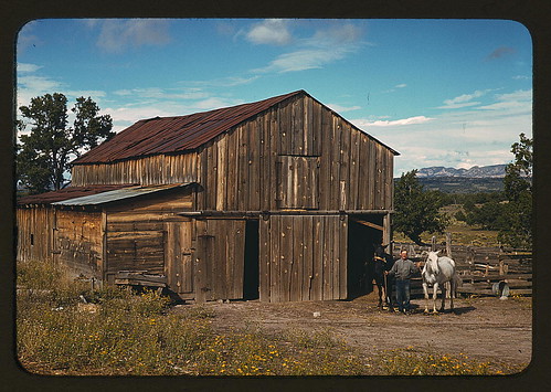 Bill Stagg, homesteader, in front of his barn, Pie Town, New Mexico  (LOC)