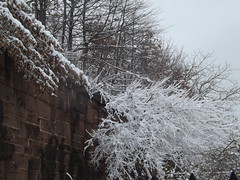 Snow View, Harsimus Branch Embankment, Jersey City