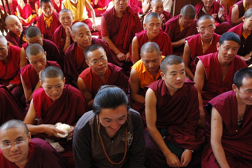 Many expressions of happiness, Tibetan Buddhists in traditional robes, malas, prayer mudra, monks, nuns, sangha, Sakya Lamdre, Tharlam Monastery, Boudha, Kathmandu, Nepal by Wonderlane