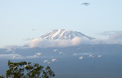Kilimanjaro 2007