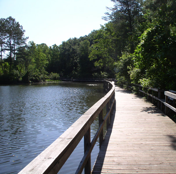 Green Hill Pond Trail at James River State Park (bench is on the right)