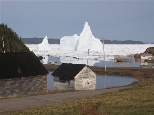 Berg Water - Icebergs, Cottrells Cove, Terranova, Canadá (1)