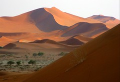 landscape africa