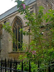 Cambridge Little St Mary's Church