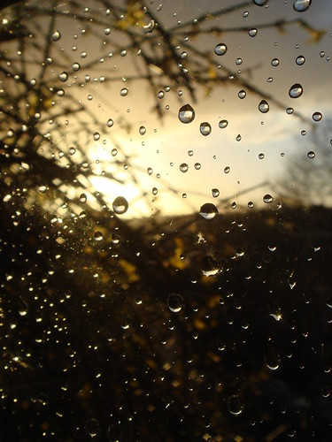 Rain drops on my window