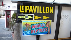 Reptile Exhibition, Biel