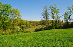 Spring Landscapes 2011