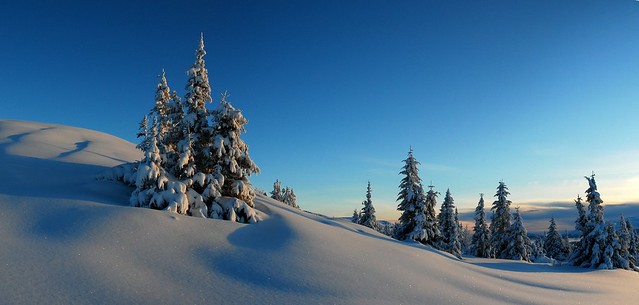 Beautiful winter (8940-3)