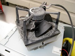 Computer Processors