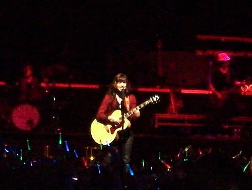 Demi Lovato was the opening act for the Jonas Brothers Concert on July 14 