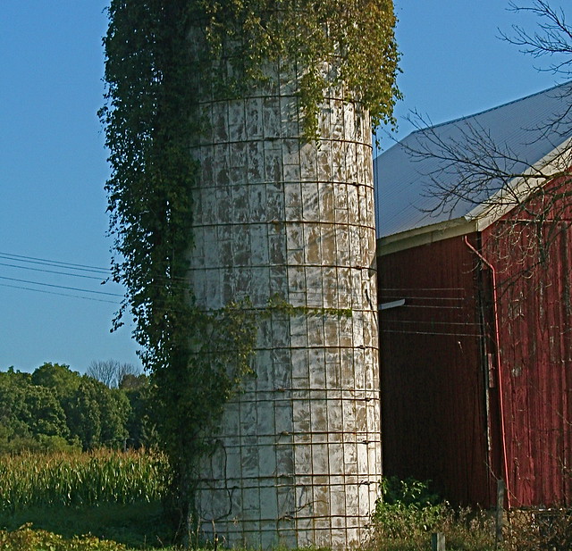 Silo with Vines
