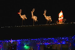 Christmas Lights 2007