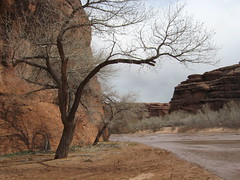 Longest Walk 2: Navajo/Dine Country