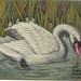 Pastel Swan on velvet board