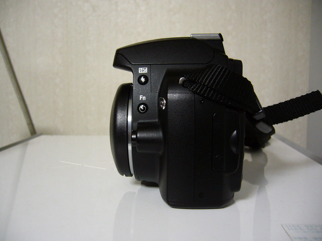 Loreo Lens in a cap + D40