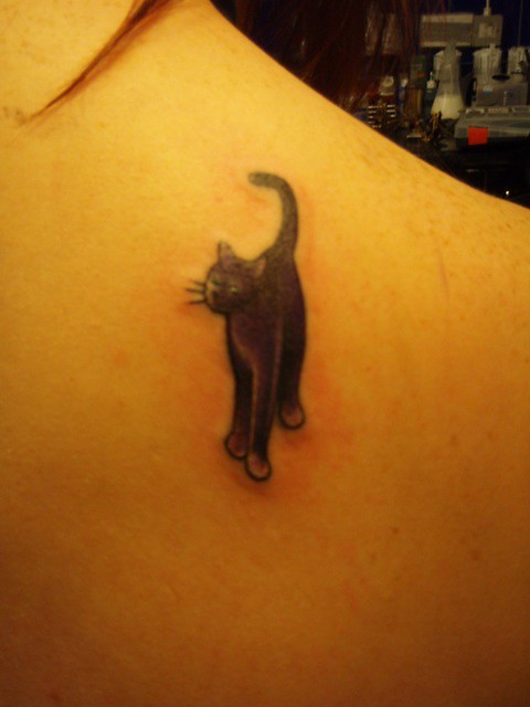 Revitalised cat tattoo