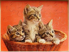Kitties in Baskets - Katzen im Körbchen