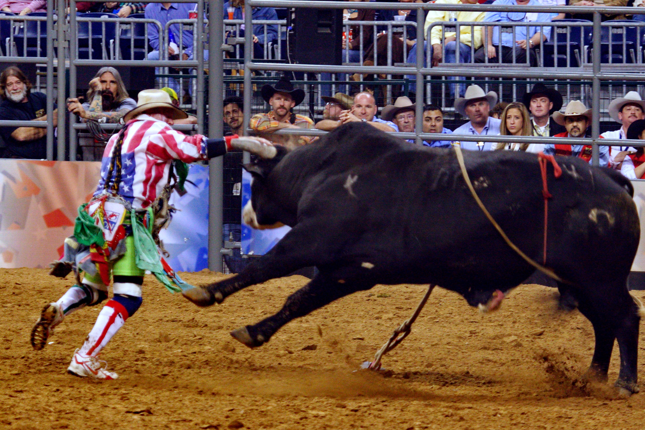 Rodeo Bull fighter