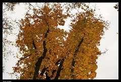 photowalk #6 colors of autumn