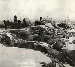 Michigan Logging History