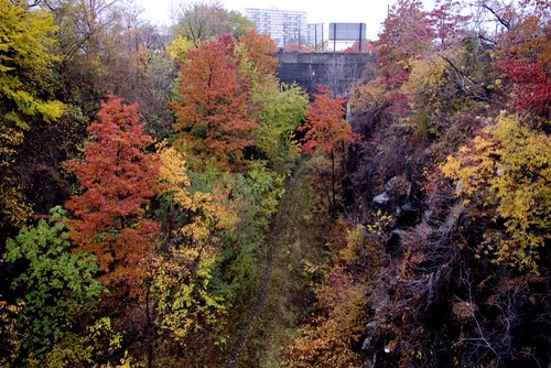 looking down into the cut to the NW.jpg