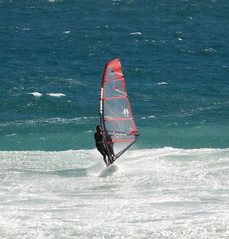 Cape of Good Hope Surfers