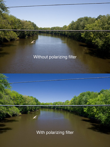 Comparison of not using or using a polarizing filter