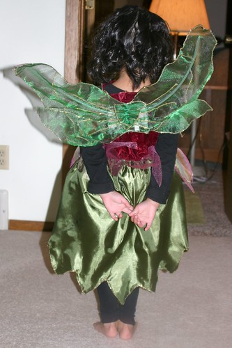 Olivia's Forest Fairy Wings