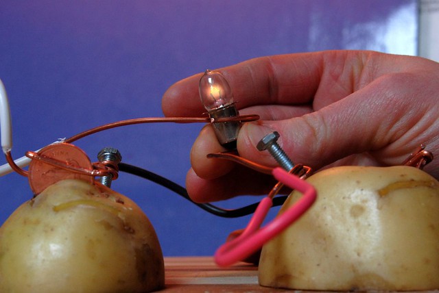 Power A Light Bulb With A Potato 17