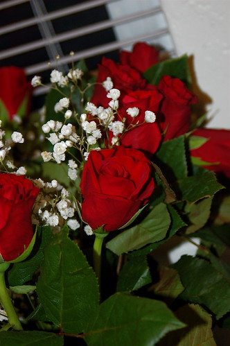 St. Valentines Day Roses