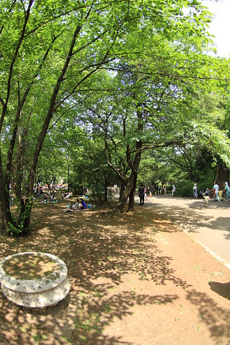 与野公園 バラ祭り 2011