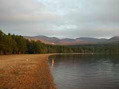 Sun reflecting onto Loch Morlich