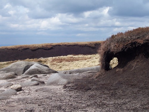 Rocks, sand, peat and grass