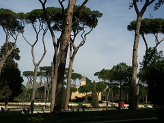 Rome and Sicily Feb 2008