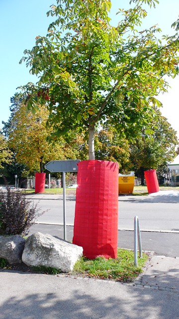 Tree Protection, Solothurn