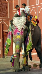 Jaipur 2006