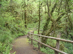 Cascadia State Park, Oregon