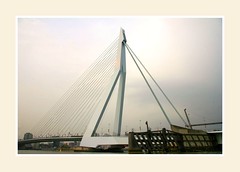 Rotterdam seaport