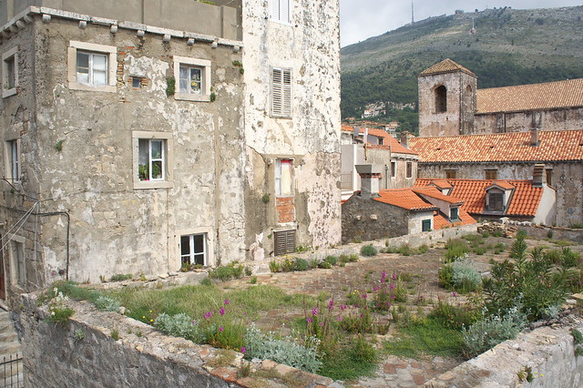 Dubrovnik旧市街