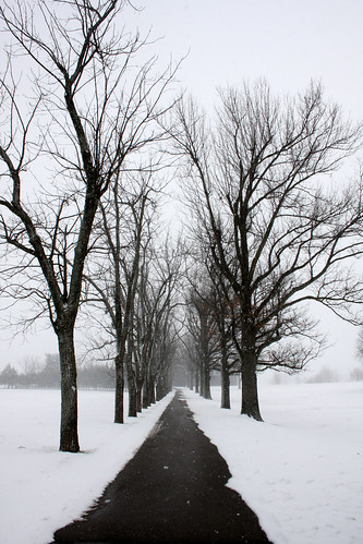A path through the snow