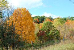 Autumn Colors 2007