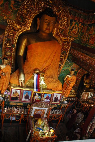 Under a giant statue of Lord Buddh, shrine, His Holiness Dagchen Rinpoche leads prayers, monks and sangha members, photos of Sakya lamas, with a central portrait of His Holiness the Great 14th Dalai Lama, Tharlam Monastery, Boudha, Kathmandu, Nepal by Wonderlane