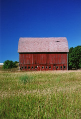 Michigan Barns