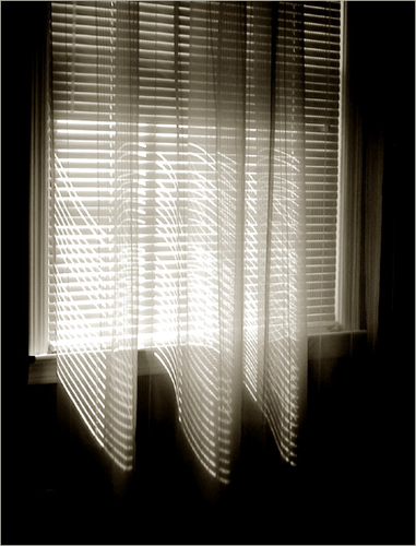Curtain and Shades 
