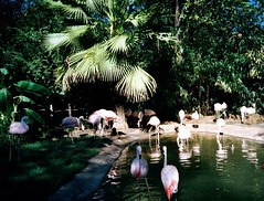 Fort Worth Zoo 2001