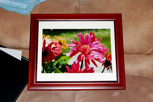 picture frame backing